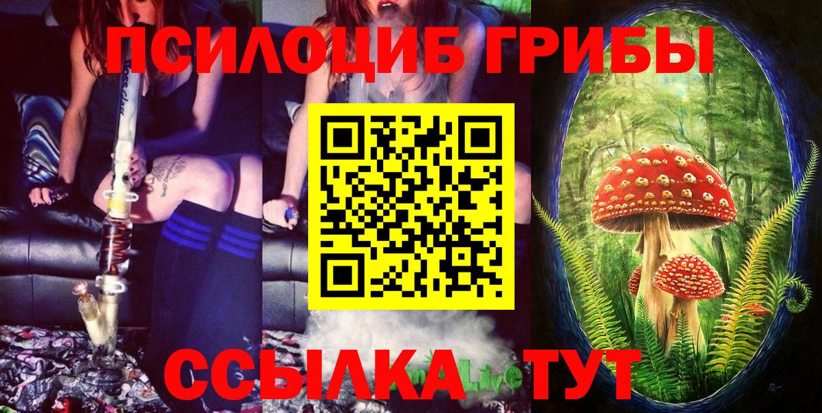 Фурманов  Галлюциногенные грибы мицелий  Галлюциногенные грибы GOLDEN TEACHER  Вход с VPN 