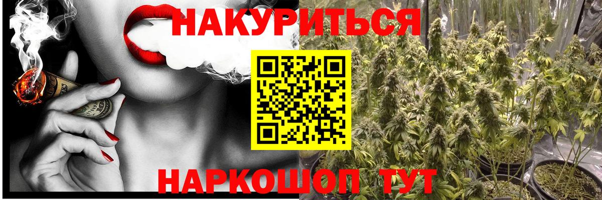 Конопля марихуана Фурманов